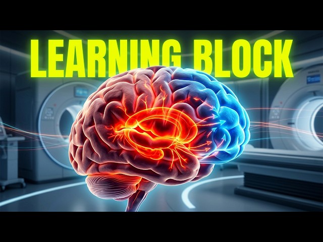 Why Anxiety Ruins Your Brain's Ability to Learn Anything