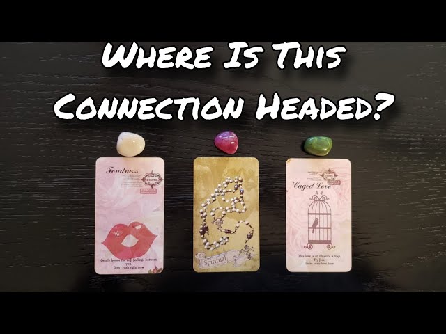 💘❣ Where Is This Connection Headed? 💋❣ Pick A Card Love Reading 