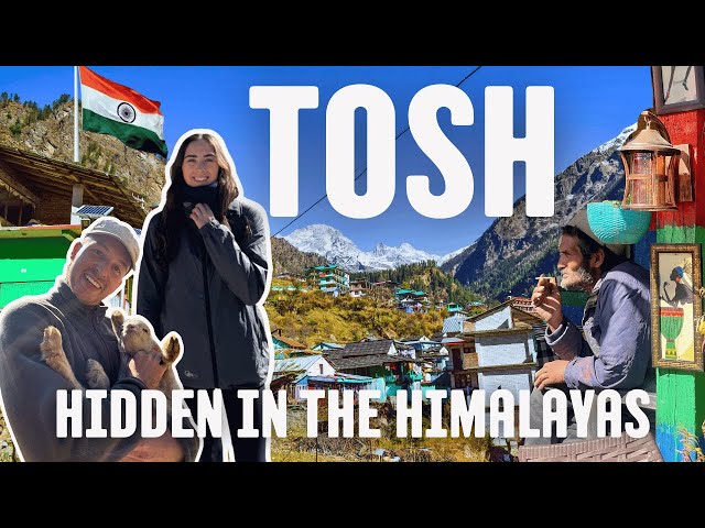 Discovering Tosh 🇮🇳 | A Peaceful Escape in the Himalayas