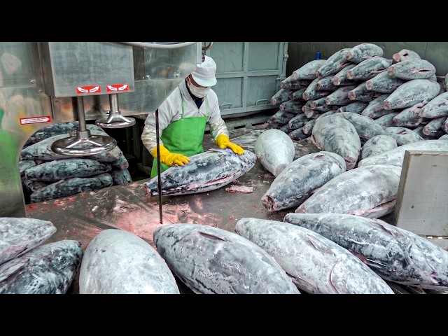 Amazing Seafood Mass Production Processes. Top 10 Preferred Fish Factories.
