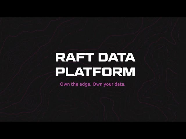 Raft Data Platform