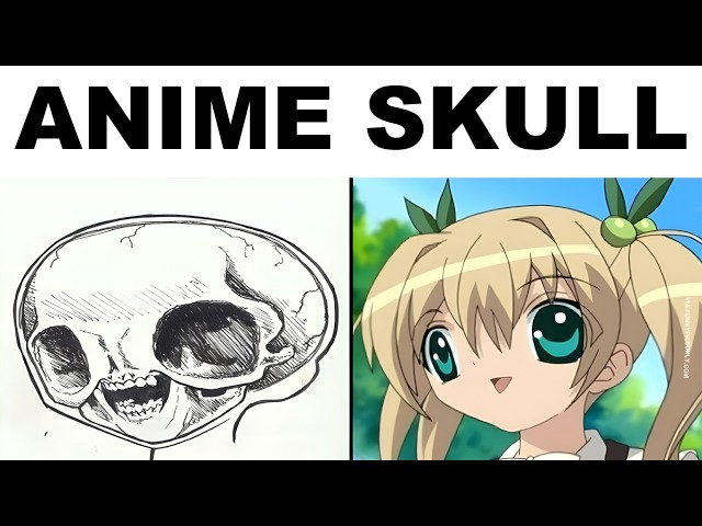 Funniest Anime Memes