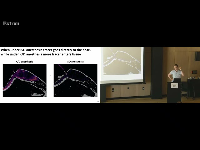 [FEniCS 2026] - Solute Transport Simulations in Brain Tissue using FEniCSx - Andreas Solheim