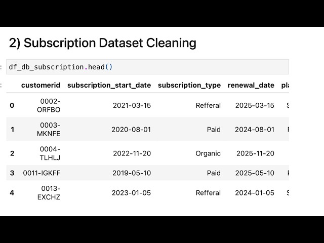 Data Cleaning Using Pandas | Subscription Dataset | {SQL & Python Portfolio Project – Part 4}