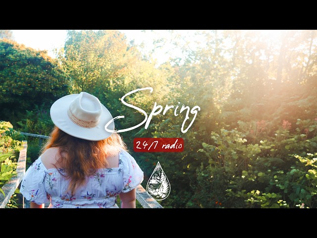 Spring 24/7 Radio 🌼 fresh indie/folk/acoustic music for work and relax • alexrainbirdRadio