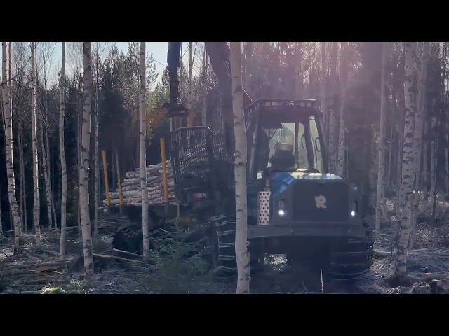A beautiful day in the forest with a Rottne F15E