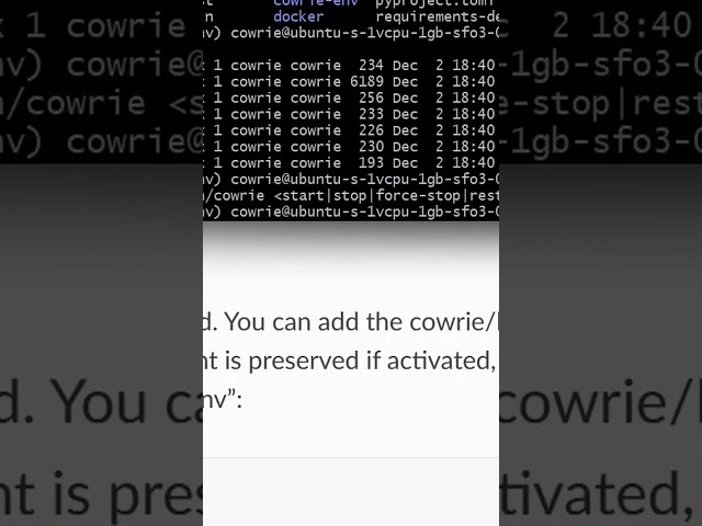 starting a Honeypot on Linux