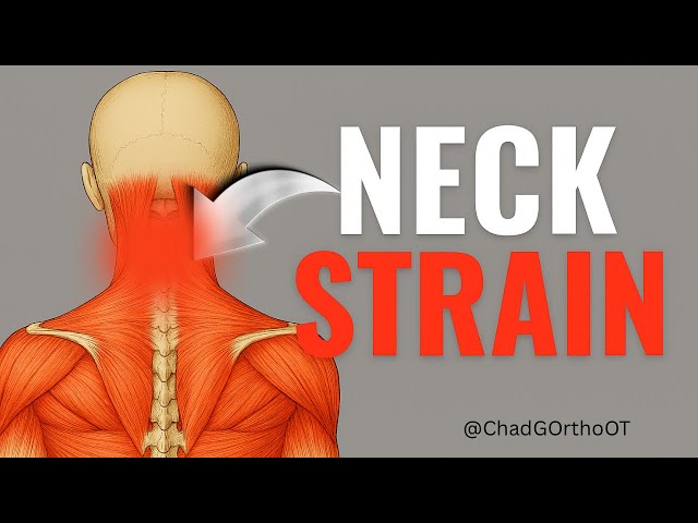 Neck Strain Relief: 6 Therapy Tips That Work