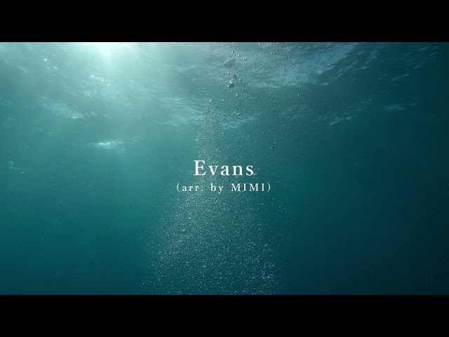 Evans (arr. by MIMI)【 jubeat】