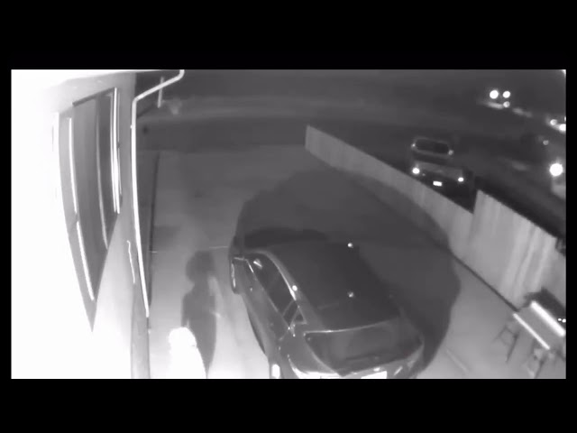 Creature Caught on Camera