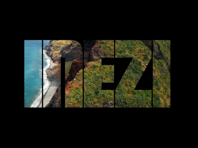 INEZI - Mind Check (lyrics video)