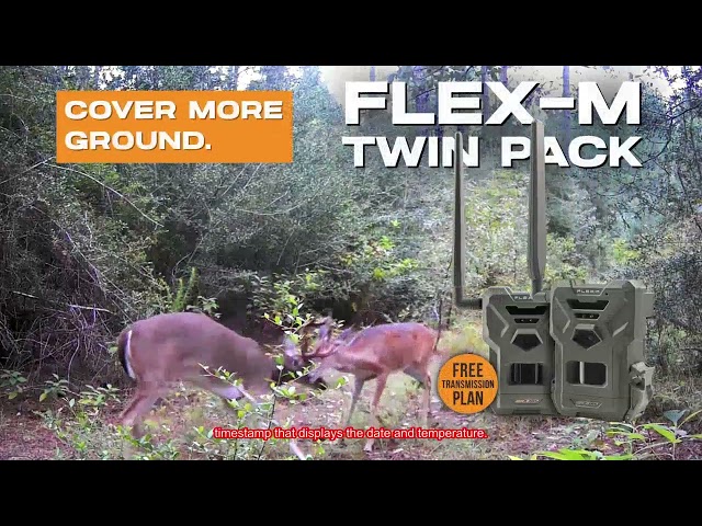 Trail Camera - Does It Live Up to the Hype