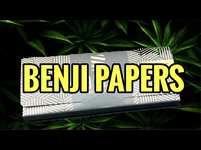 4K BENJI ROLLING PAPERS