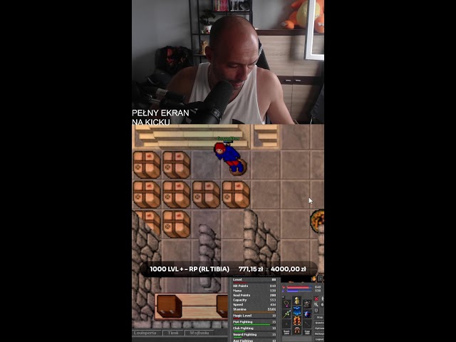 gorgo chill stream  tibia treasura.online tibia 8.0