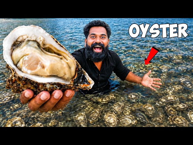 Oyster With Tapioca Kerala Style | M4 Tech |