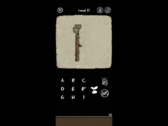 The Secret Code: Forest Puzzle Level 17 (Update) Walkthrough Solution