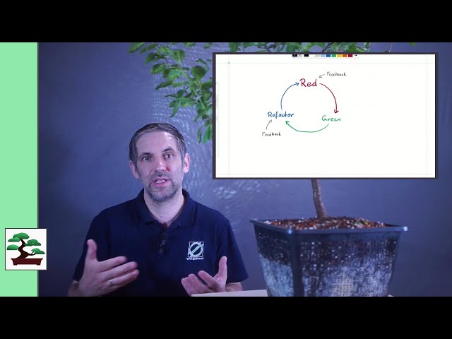 Feedback and Test-Driven Development
