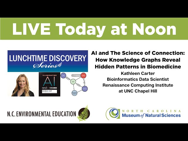 AI and The Science of Connection: How Knowledge Graphs Reveal Hidden Patterns in Biomedicine