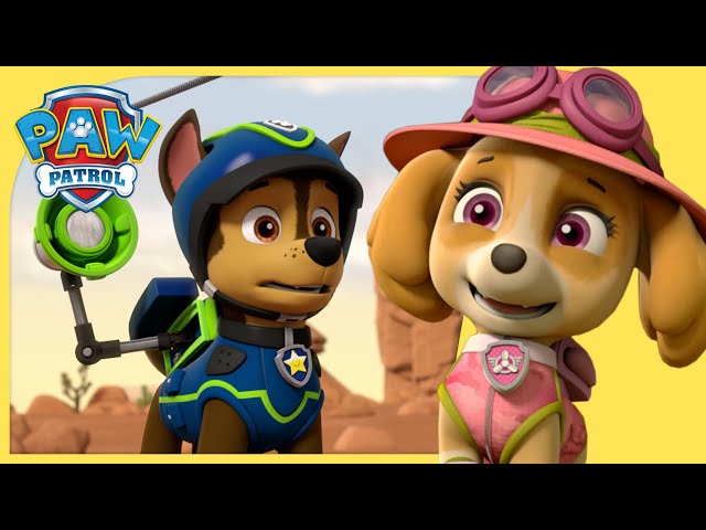 The Best Chase and Skye Rescues 🚨 | PAW Patrol Compilation | Cartoons for Kids