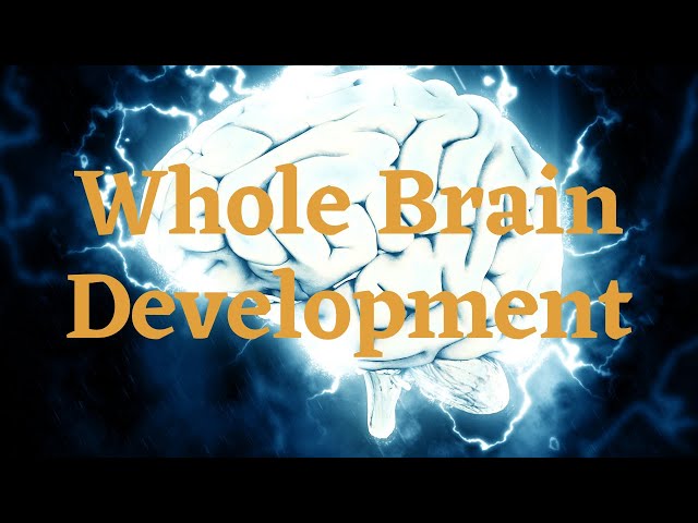 Whole Brain Development Training Program