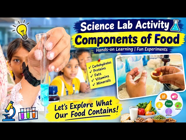 🔬 Science Lab Activity | Components of Food | Fun & Experiential Learning