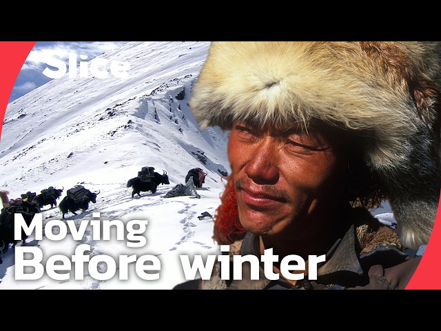 The Nomads of Dolpo: A 17-Day Journey Across the Himalayas | SLICE | FULL DOCUMENTARY