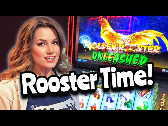 Another Golden Rooster Unleashed Slot Session Searching for Bonus Eggs