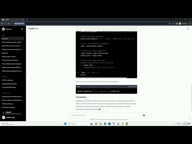 python argparse string