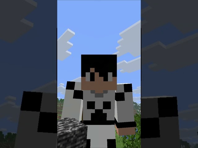 How to tell the difference between Java and Bedrock