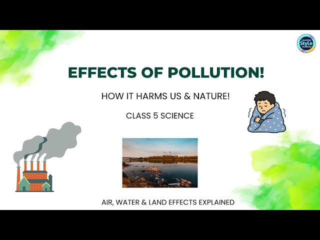 Effects of Pollution on Life: Air, Water, Land Harm Explained (Class 5 Science)