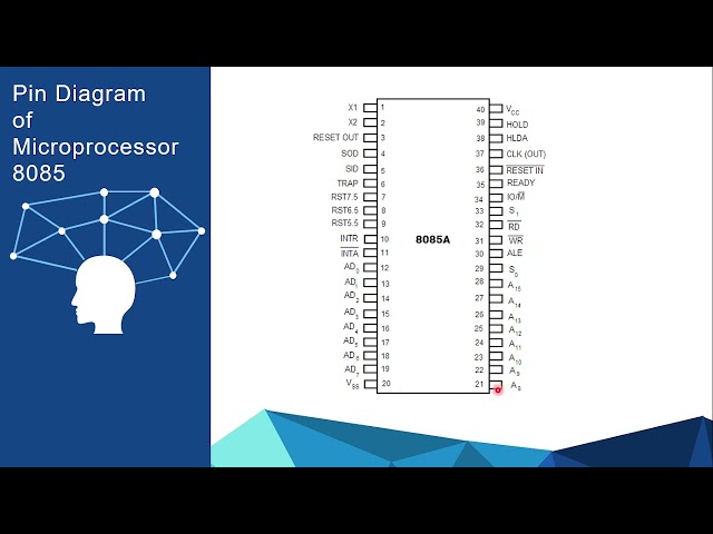 Std XII - CS - Paper II - Chapter 1 - Intro to Microprocessor & organization of 8085 - Session 4