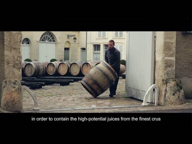 Savoir-faire of Bollinger