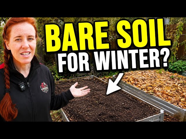 I’m a Soil Scientist… These 7 “Soil Health” Rules Are Wrong