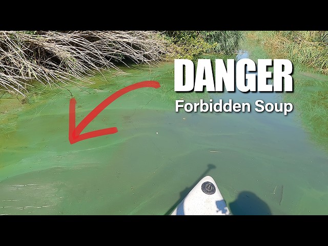 Can This Paddle Location Still Make Our Top 5?