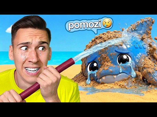 SPAŠAVAM POVREĐENE ŽIVOTINJE!