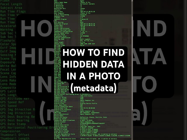 How to view metadata - #5 OSINT Advent Tools & Techniques