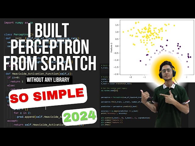 Building a Perceptron From Scratch - Beginner Friendly Neural Network Tutorial | Neural Networks