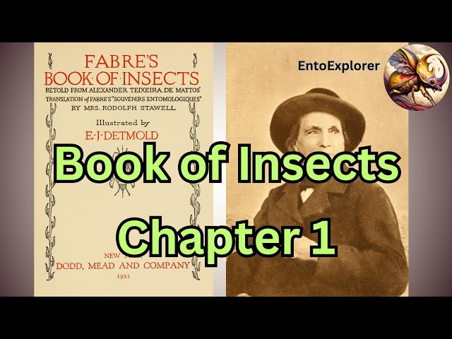 Book of Insects - Chapter 1 - by Jean-Henri Fabre #entomology