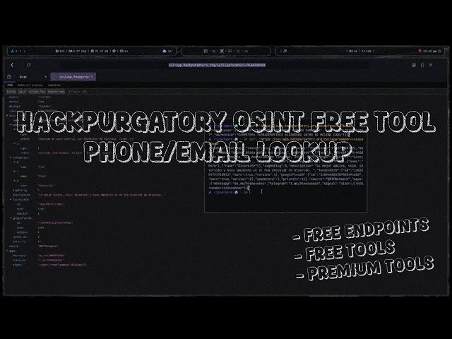 Best OSINT Multi Endpoints Tool whit Free Email/Phone Lookup Working 🌩️
