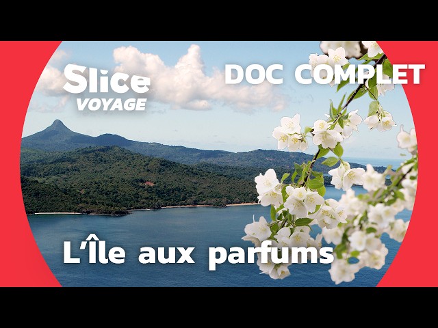 Mayotte: a natural beauty to preserve I WIDE