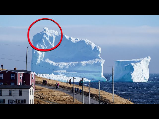 200 Incredible Things Caught on Camera. Best of the Month