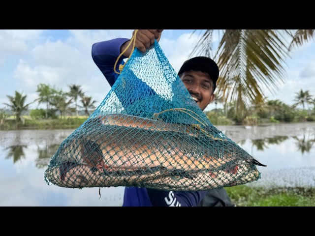 Giant python caught on bait...🙆‍♂️😱 | Snakehead Fishing Videos | Fishing Videos | Fish