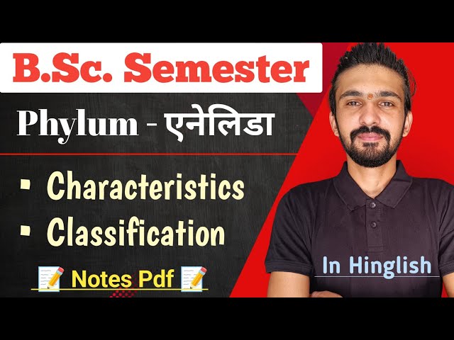 Annelida Classification & Characteristics || Phylum - Annelida || Bsc Semester || By Dadhich Sir