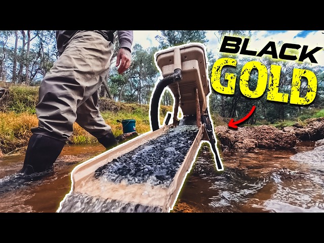 Black Gold | The Secret Industry That Saved Gold Miners