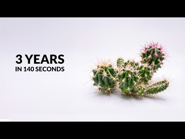 I grew a cactus from seed and filmed it for 3 years