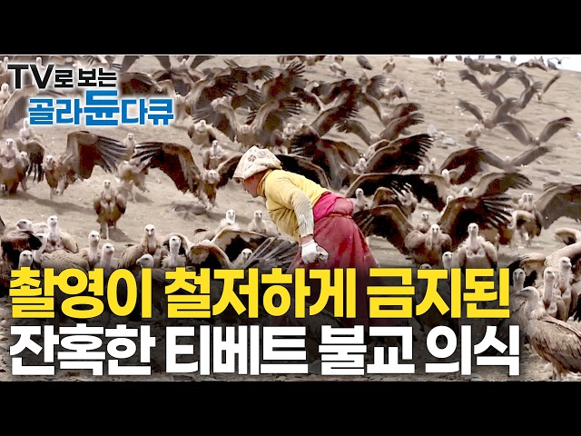 '매장도 화장도 없다’ 육신은 껍데기일 뿐. 육신을 독수리에게 내어주는 생애 마지막 보시 布施｜윤회와 환생, 그리고 죽음｜티베트 장례 의식 천장｜다큐프라임｜#골라듄다큐