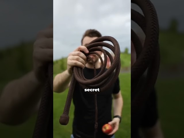 Why a Whip Can Break the Sound Barrier