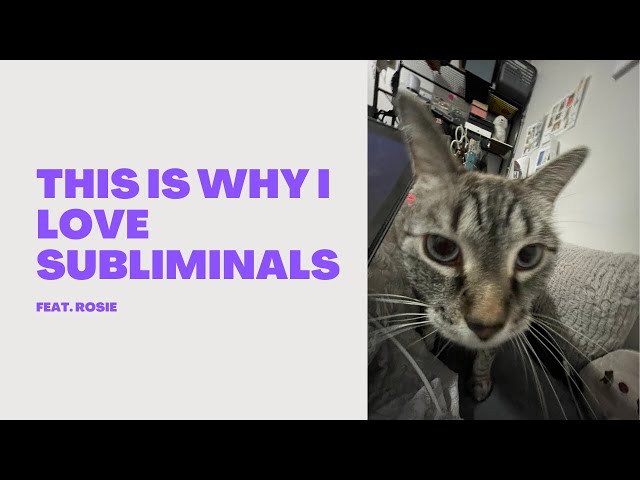 SUBLIMINALS || how to reprogram your mind and manifest with subliminals