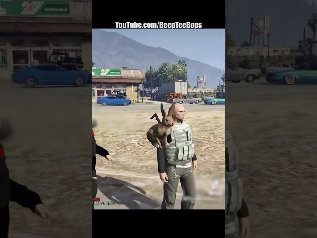 Rabbit Trolling Compilation in GTA 5 #gta5rp