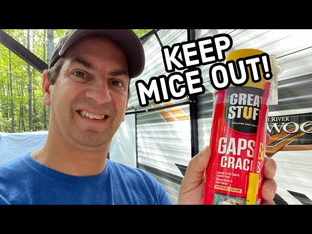 How To Keep Mice Out Of RV
